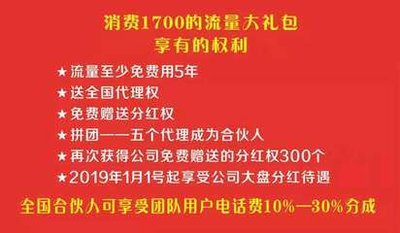 國脈天網的網絡傳銷