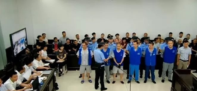 “柚子金融”傳銷騙局騙了數十萬人！